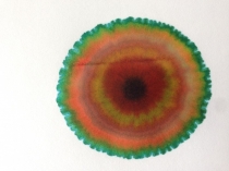 Rungebild 1