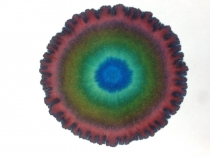 Rungebild 3