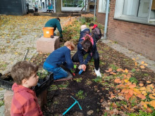 PHOTO-2022-10-20-19-02-33-Kopie