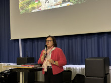 IMG_8926