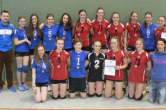 JtfO-Volleyball-2013