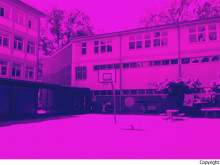 P1070497_pinkblau