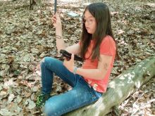 Bild-Wald-26-2