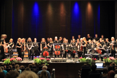 Orchesterkonzert 2013