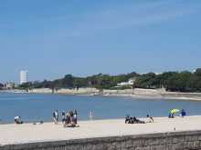IMG-20220510-WA0001