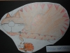 SAM_2418