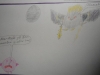 SAM_2422