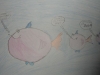 SAM_2424