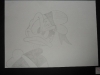 SAM_2428