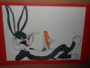 SAM_2435