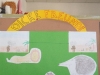 SAM_2446