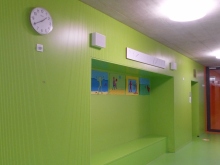 C20