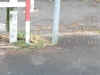 P1080545