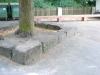 P1080550