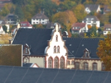 P1010904